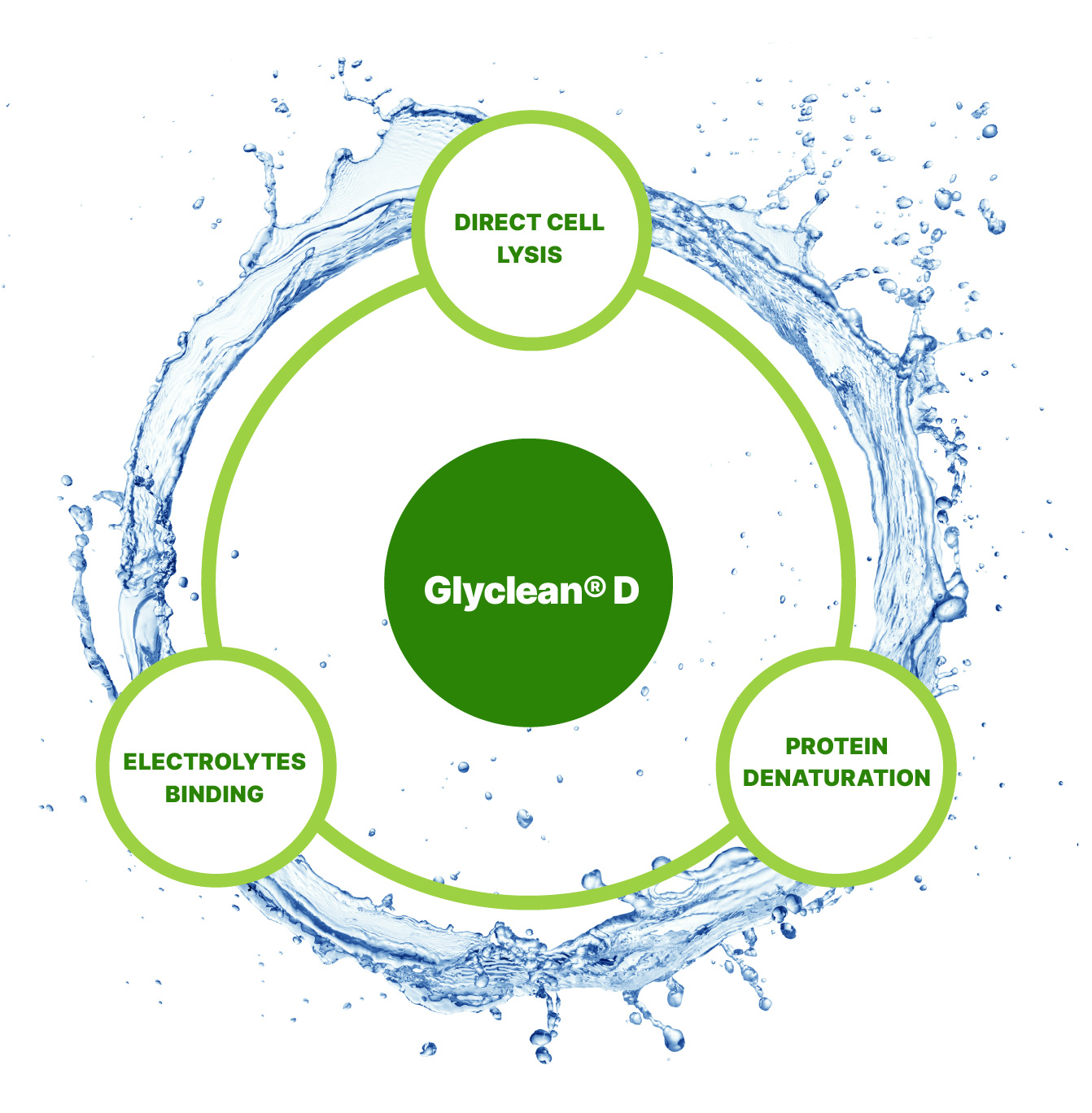 Glyclean® D has three distinct mechanisms of action which provide efficacy while reducing the likelihood of microbial resistance developing.